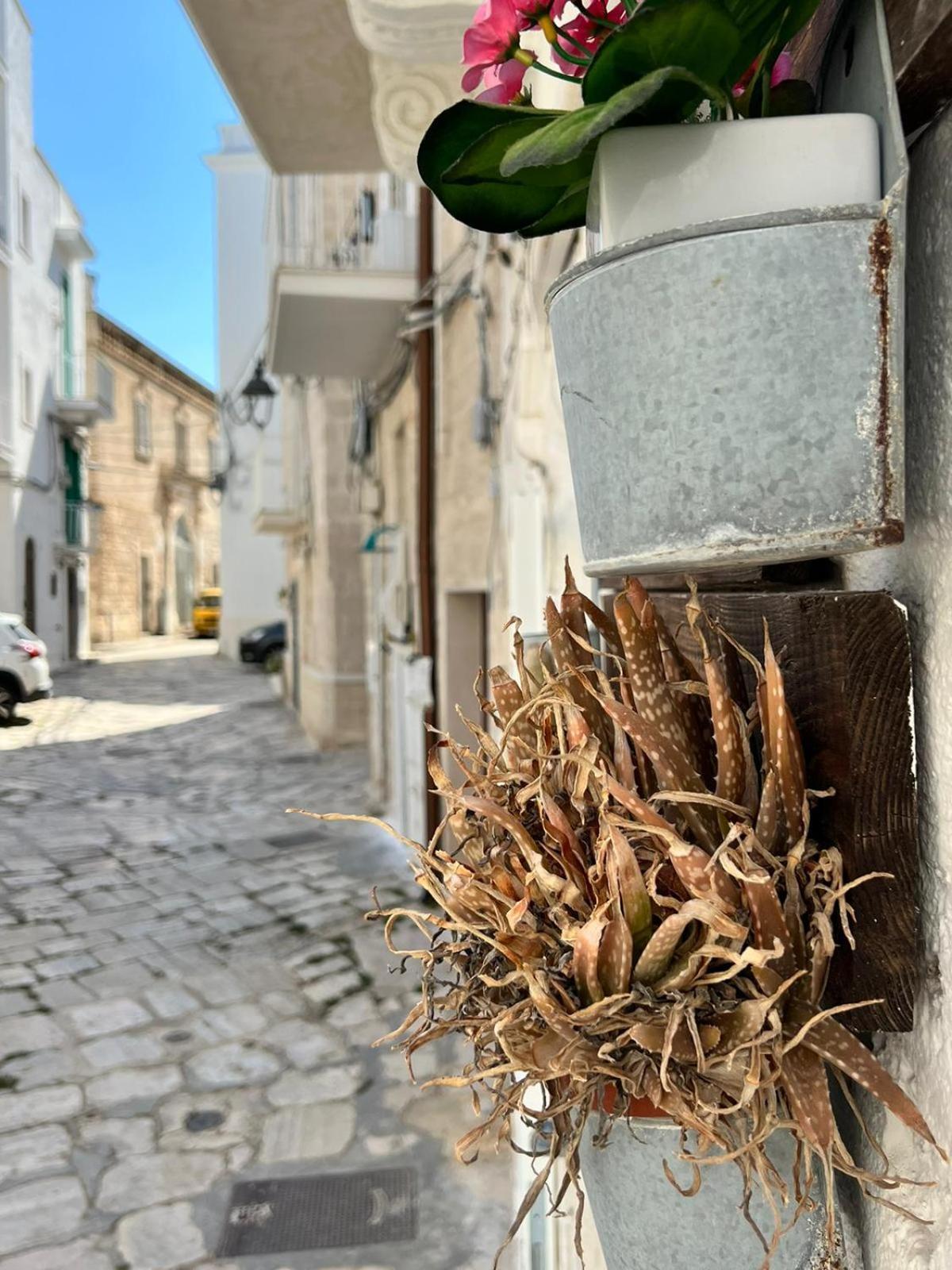 Summer dreams Monopoli Exterior foto